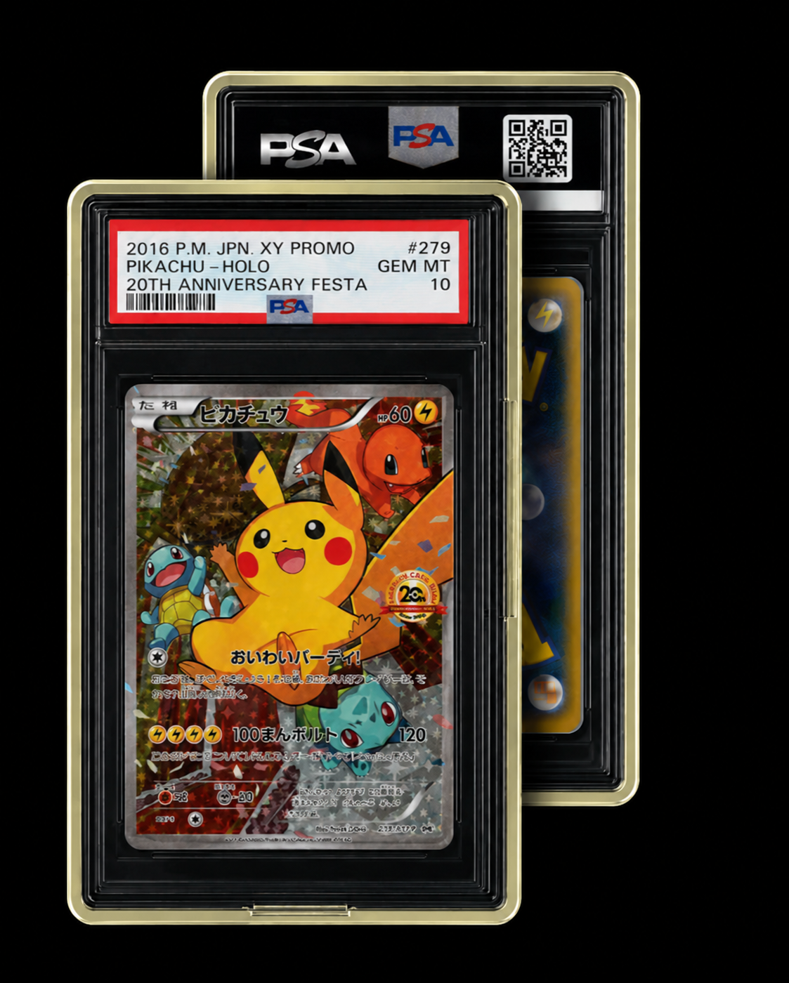 PowerGuard Case