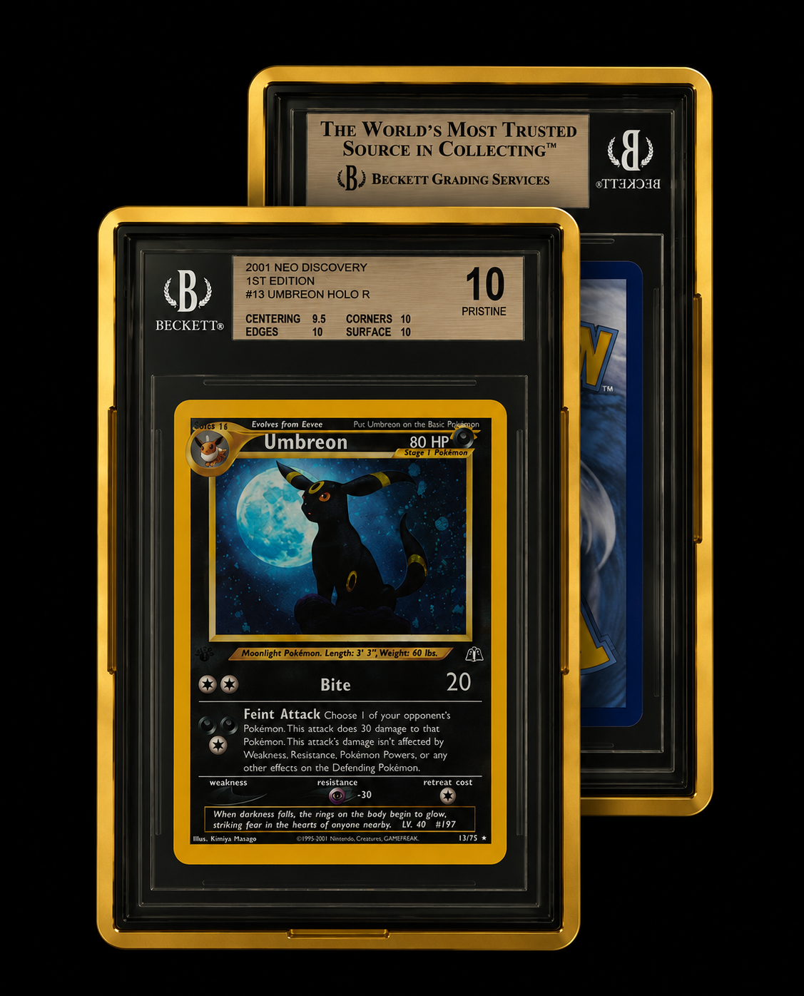 PowerGuard Case