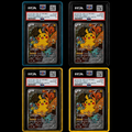 PowerGuard Decuple Bundle